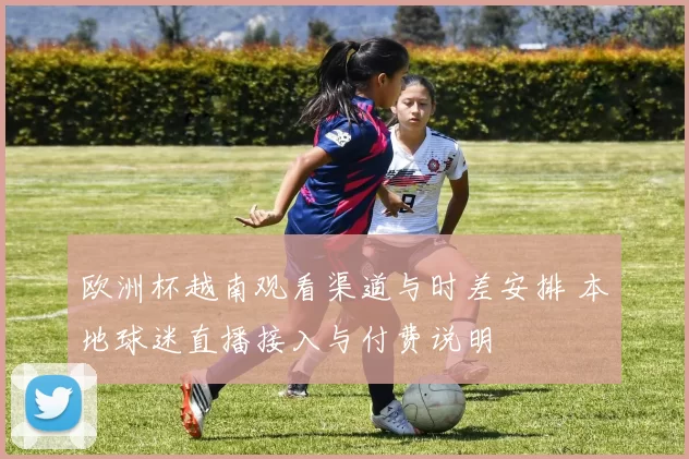 欧洲杯越南观看渠道与时差安排 本地球迷直播接入与付费说明