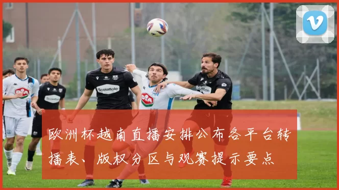 欧洲杯越南直播安排公布各平台转播表、版权分区与观赛提示要点